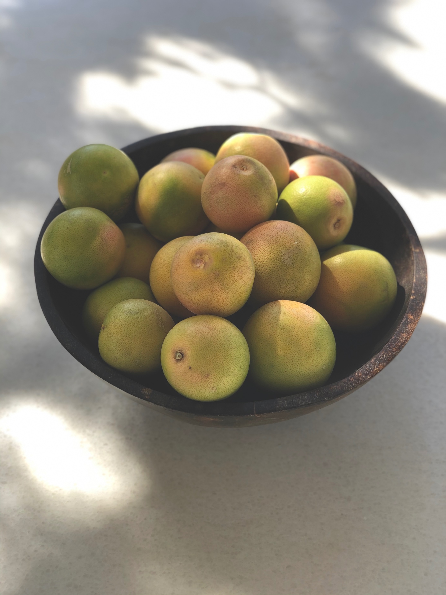 Citrus from the garden