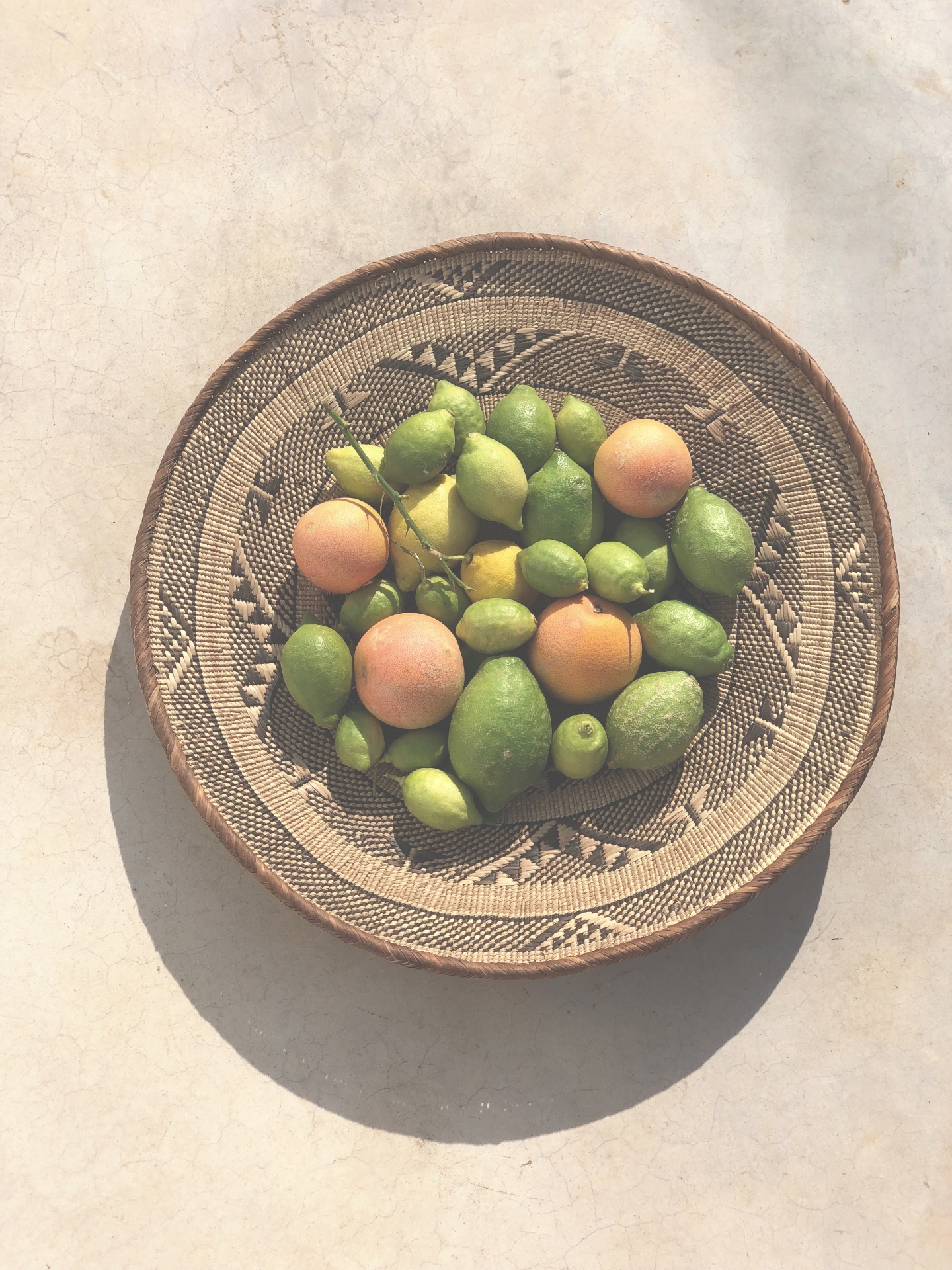 Basket of garden citrus