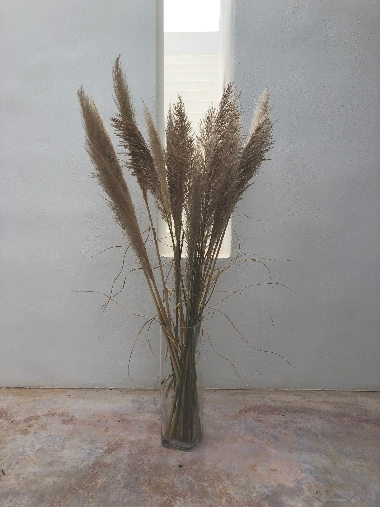 Flower arrangement from the garden