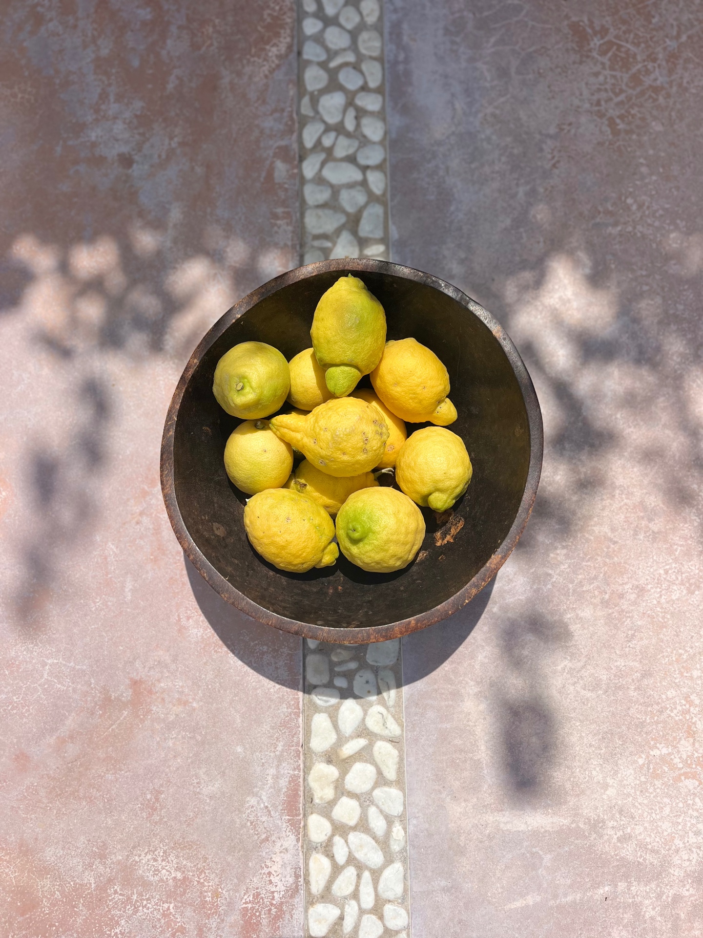 Lemons from the garden